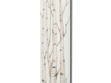 Birch Trees I  by Cindy Jacobs, Canvas Wall Art Online Hot Sale