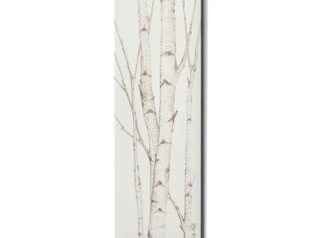 Birch Trees II  by Cindy Jacobs, Canvas Wall Art For Cheap