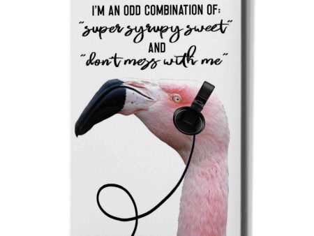 I m an Odd Combination  by Cindy Jacobs, Canvas Wall Art For Discount