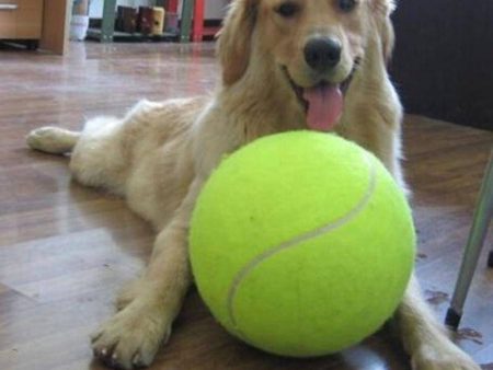 Jumbo Tennis Ball. Sale