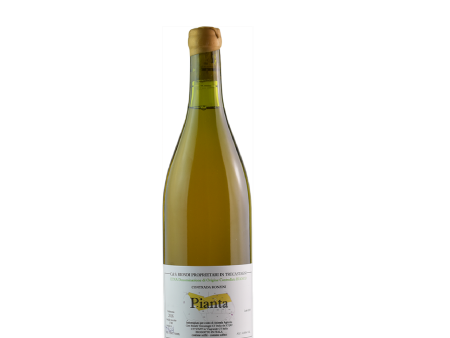 Biondi  Pianta  Etna Bianco 2018 For Cheap