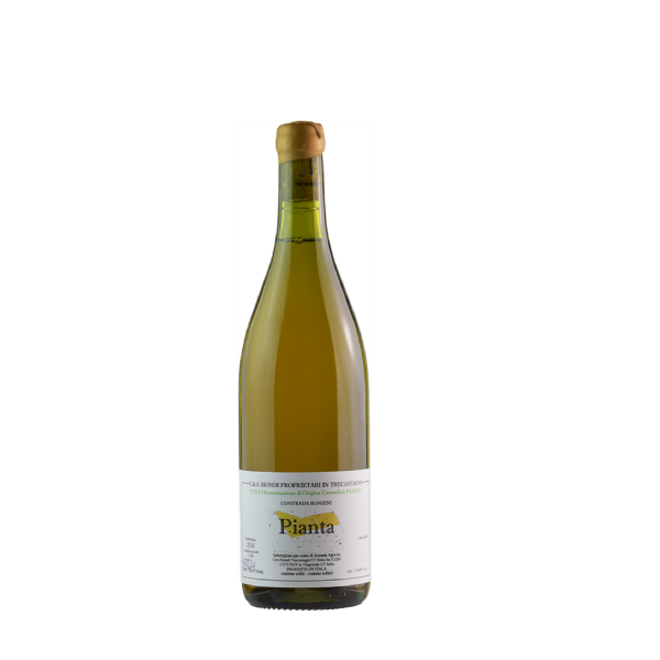 Biondi  Pianta  Etna Bianco 2018 For Cheap