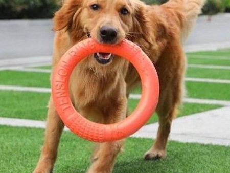 Dog Ring Toy Online Hot Sale