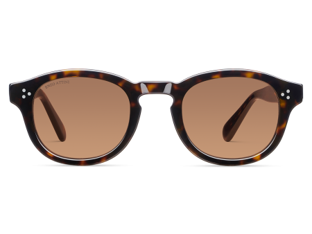 il Pantheon   Tortoise Red + Dark Brown Lens Online now